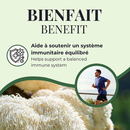 Bienfait du Lion’s Mane Phytovie, aide à soutenir un système immunitaire équilibré grâce à des polysaccharides fongiques

