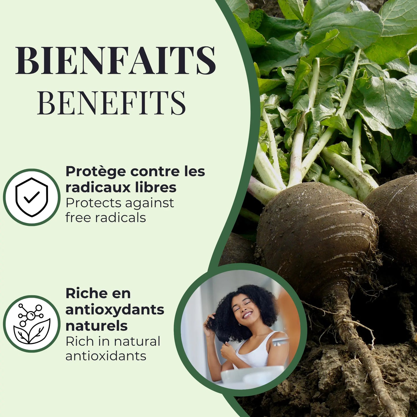 Bienfaits du Radis noir Phytovie, riche en antioxydants naturels et aide à protéger les cellules contre les dommages causés par les radicaux libres