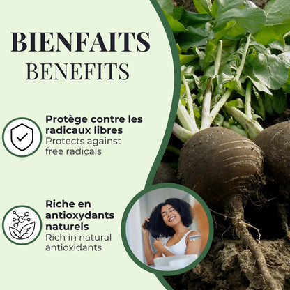 Bienfaits du Radis noir Phytovie, riche en antioxydants naturels et aide à protéger les cellules contre les dommages causés par les radicaux libres
