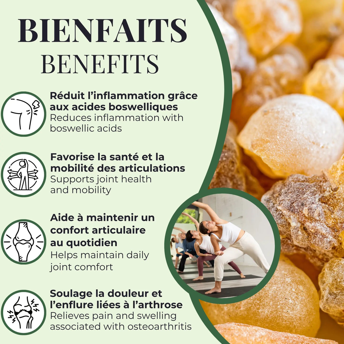 Bienfaits du Boswellia serrata Phytovie, aide à réduire l’inflammation, soulage la douleur et favorise la mobilité et le confort articulaire