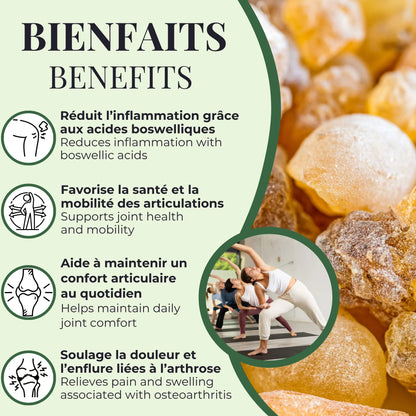 Bienfaits du Boswellia serrata Phytovie, aide à réduire l’inflammation, soulage la douleur et favorise la mobilité et le confort articulaire