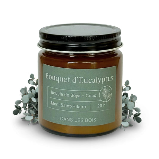 Bougie Bouquet d’Eucalyptus 20 h, 4 oz avec feuilles d’eucalyptus sur fond blanc, parfum frais et apaisant