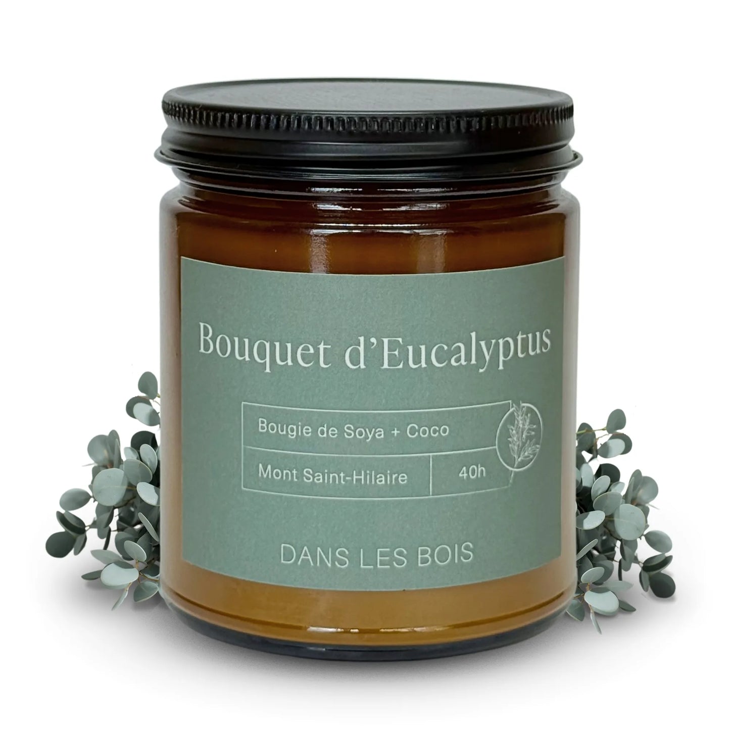 Bougie Bouquet d’Eucalyptus 40 h, 8 oz avec feuilles d’eucalyptus sur fond blanc, parfum frais et apaisant