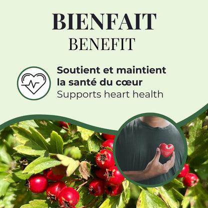 Bienfait de l’aubépine Phytovie, soutient et aide à maintenir la santé du cœur de façon naturelle