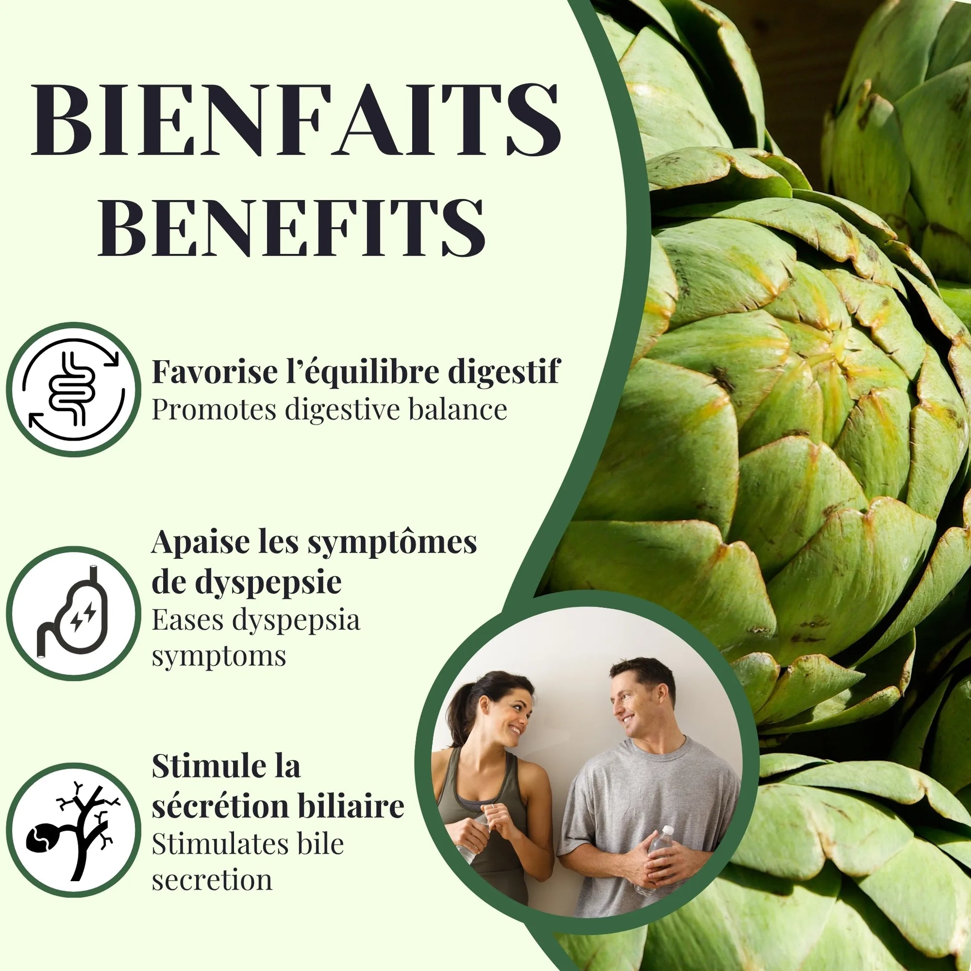 Bienfaits de la tisane d’artichaut favorisant la digestion, stimulant la sécrétion de la bile et aidant à soulager les inconforts digestifs