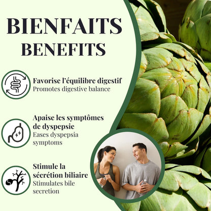 Bienfaits de la tisane d’artichaut favorisant la digestion, stimulant la sécrétion de la bile et aidant à soulager les inconforts digestifs