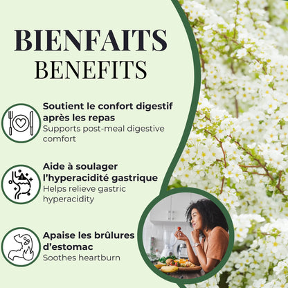 Infographie des bienfaits de la Reine-des-prés PhytoVie, soutien digestif après les repas, soulagement des brûlures d’estomac et de l’hyperacidité