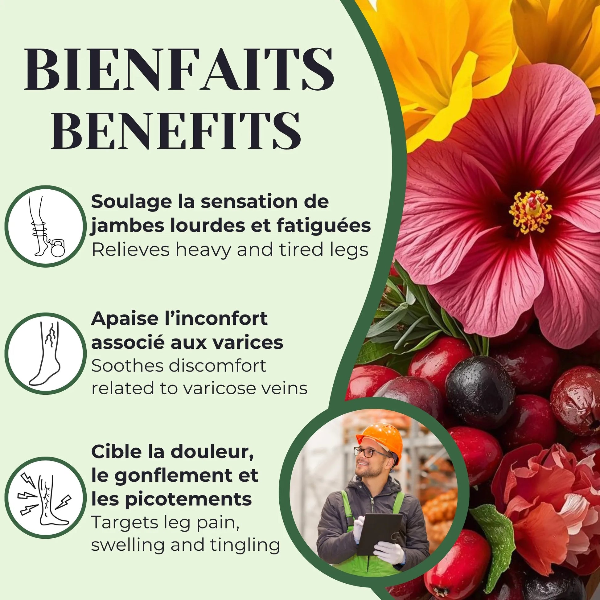 Bienfaits de la tisane jambes lourdes utilisée traditionnellement pour aider à soulager la lourdeur et la douleur associées aux varices et soutenir la circulation
