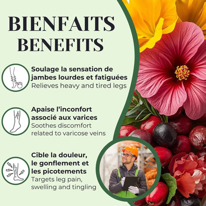 Bienfaits de la tisane jambes lourdes utilisée traditionnellement pour aider à soulager la lourdeur et la douleur associées aux varices et soutenir la circulation