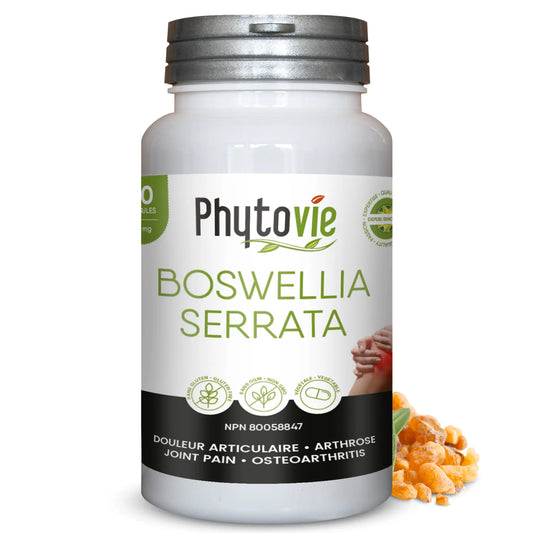 Capsules de Boswellia serrata Phytovie, supplément naturel utilisé pour aider à soulager la douleur articulaire et soutenir la santé des articulations