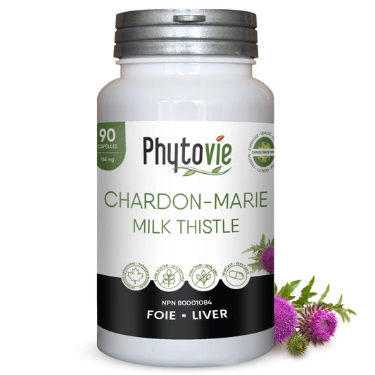 Phytovie Chardon-Marie 90 capsules 165 mg, supplément à base de chardon-marie favorisant le soutien du foie, la protection hépatique et les fonctions détoxifiantes de l’organisme
