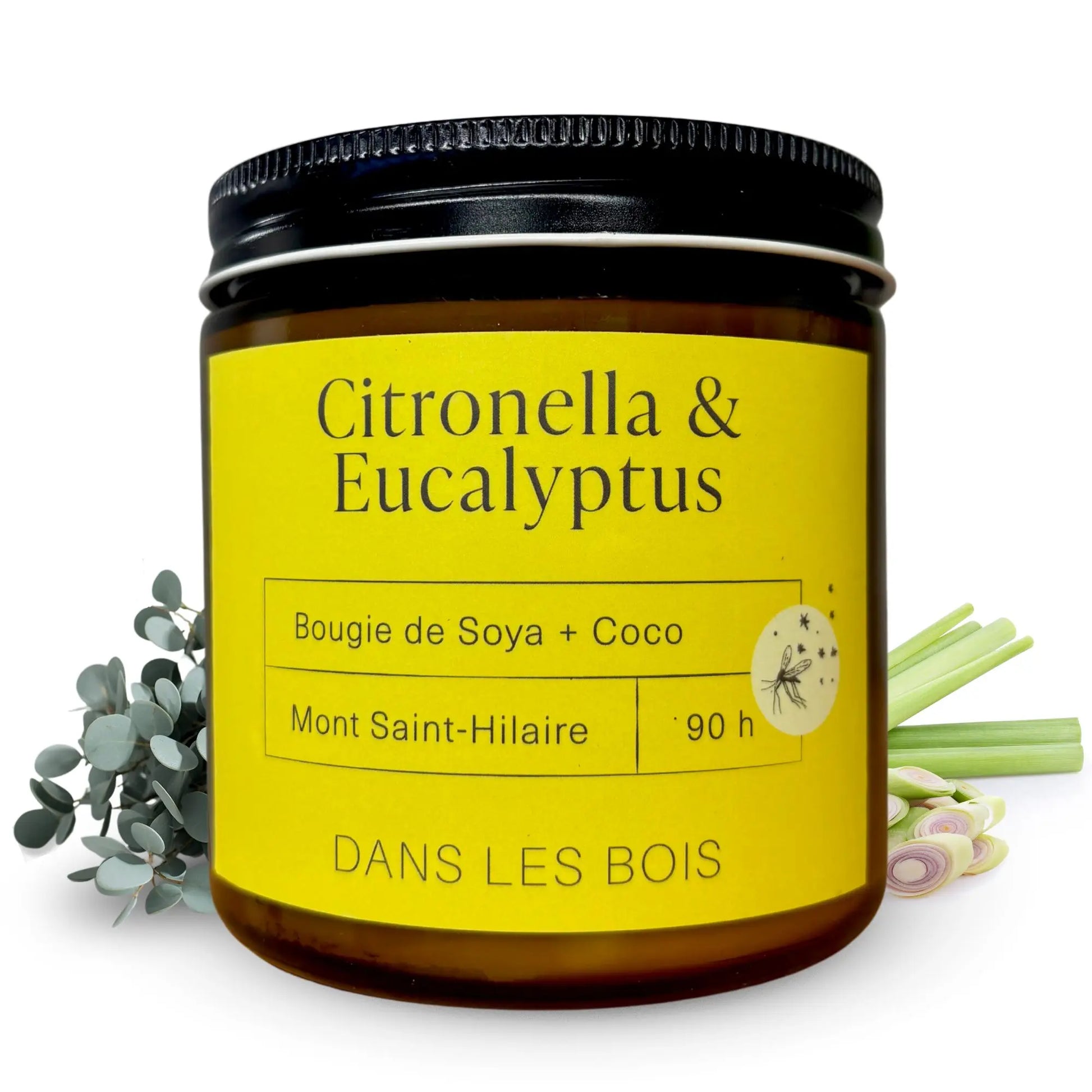 Bougie Citronella & Eucalyptus, cire de soja et coco, chandelle parfumée aux notes fraîches d’eucalyptus et de citronnelle, idéale pour les espaces extérieurs, 90 h