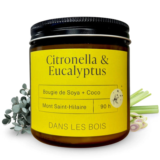 Bougie Citronella & Eucalyptus, cire de soja et coco, chandelle parfumée aux notes fraîches d’eucalyptus et de citronnelle, idéale pour les espaces extérieurs, 90 h