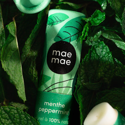 Baume à lèvres naturel à la menthe mae mae entouré de feuilles de menthe fraîches