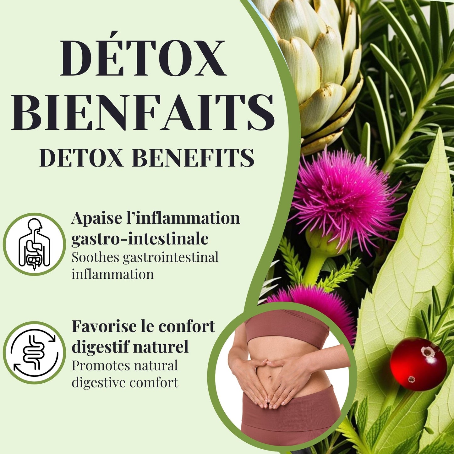 Détox Foie | Équilibre digestif & hépatique 50 Sachets