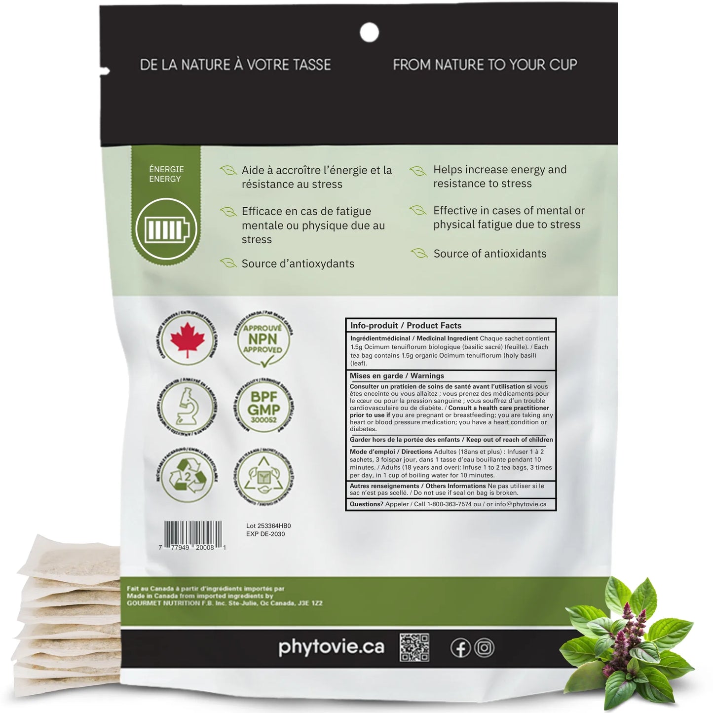 Dos du sachet de tisane de basilic sacré présentant les ingrédients, la posologie, les instructions d’infusion et les informations de santé approuvées