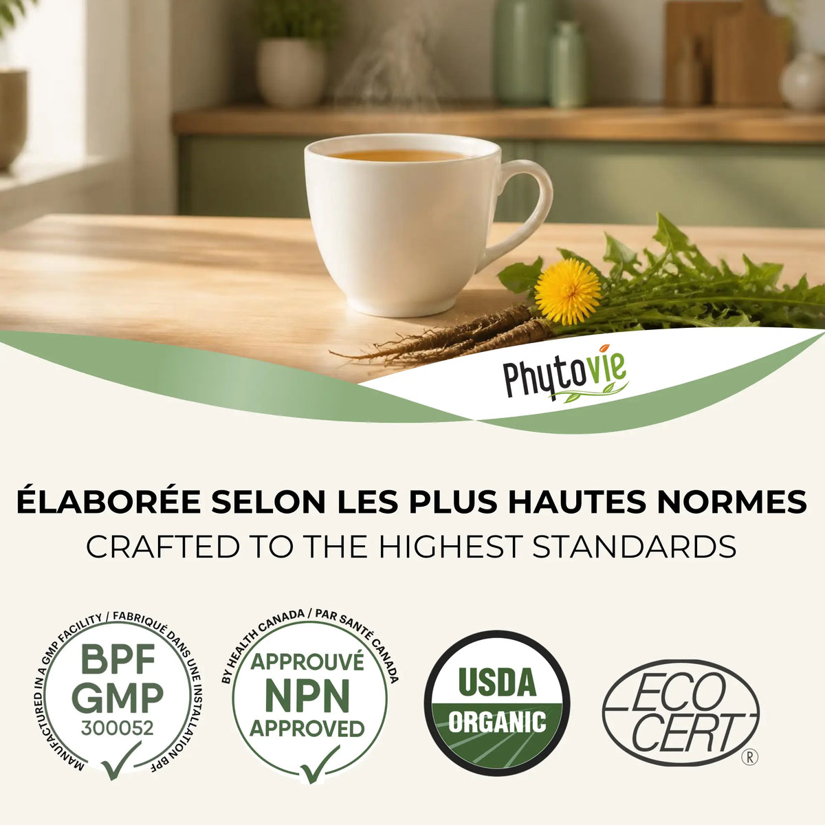 Tasse de tisane et racine de pissenlit; badges BPF, NPN, USDA Organic, Ecocert
