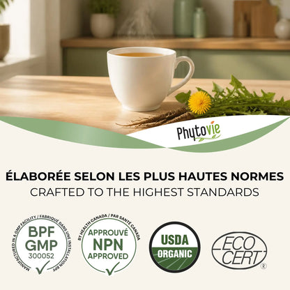 Tasse de tisane et racine de pissenlit; badges BPF, NPN, USDA Organic, Ecocert