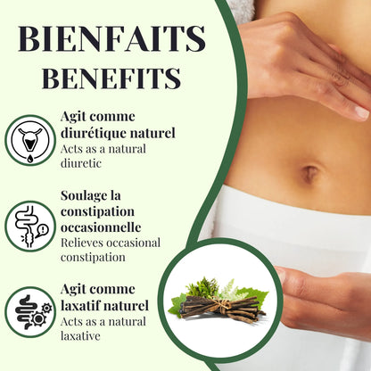 Bienfaits de la tisane Élimination aidant à soulager la constipation, favoriser l’élimination et soutenir la détoxification naturellement