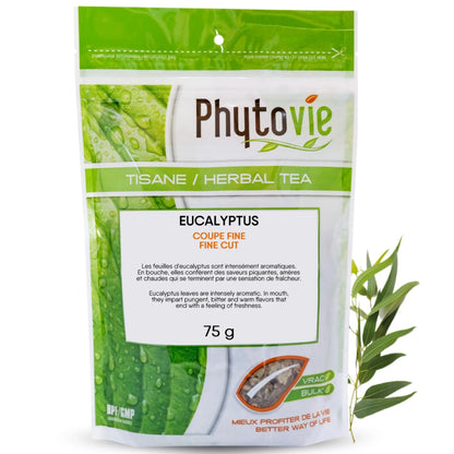 Tisane d’eucalyptus BIO Phytovie en vrac sur fond blanc, infusion naturelle reconnue pour soutenir le confort respiratoire