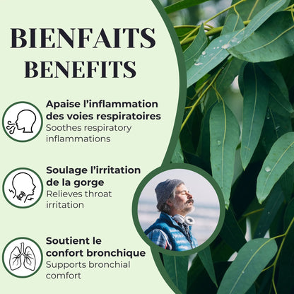 Bienfaits de la tisane d’eucalyptus utilisée traditionnellement comme expectorant pour aider à soulager la congestion, la toux et l’irritation de la gorge