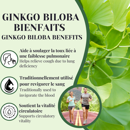 Ginkgo biloba | Toux & vitalité | 50 grammes