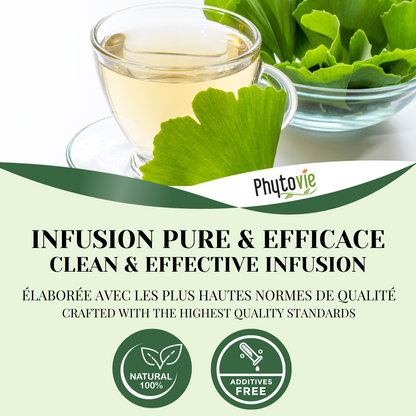 Ginkgo biloba | Toux & vitalité | 50 grammes
