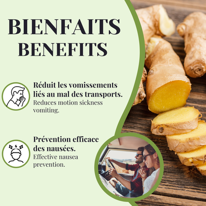 Gingembre BIO | Mal des transports | 50 Sachets
