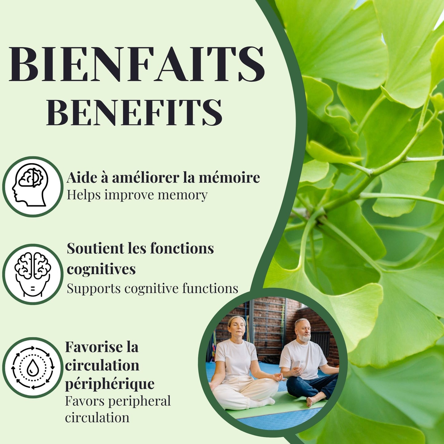 Ginkgo Biloba Extract | Memory & Peripheral Circulation | 60 Capsules