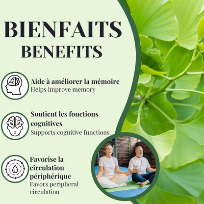 Ginkgo Biloba Extract | Memory & Peripheral Circulation | 60 Capsules