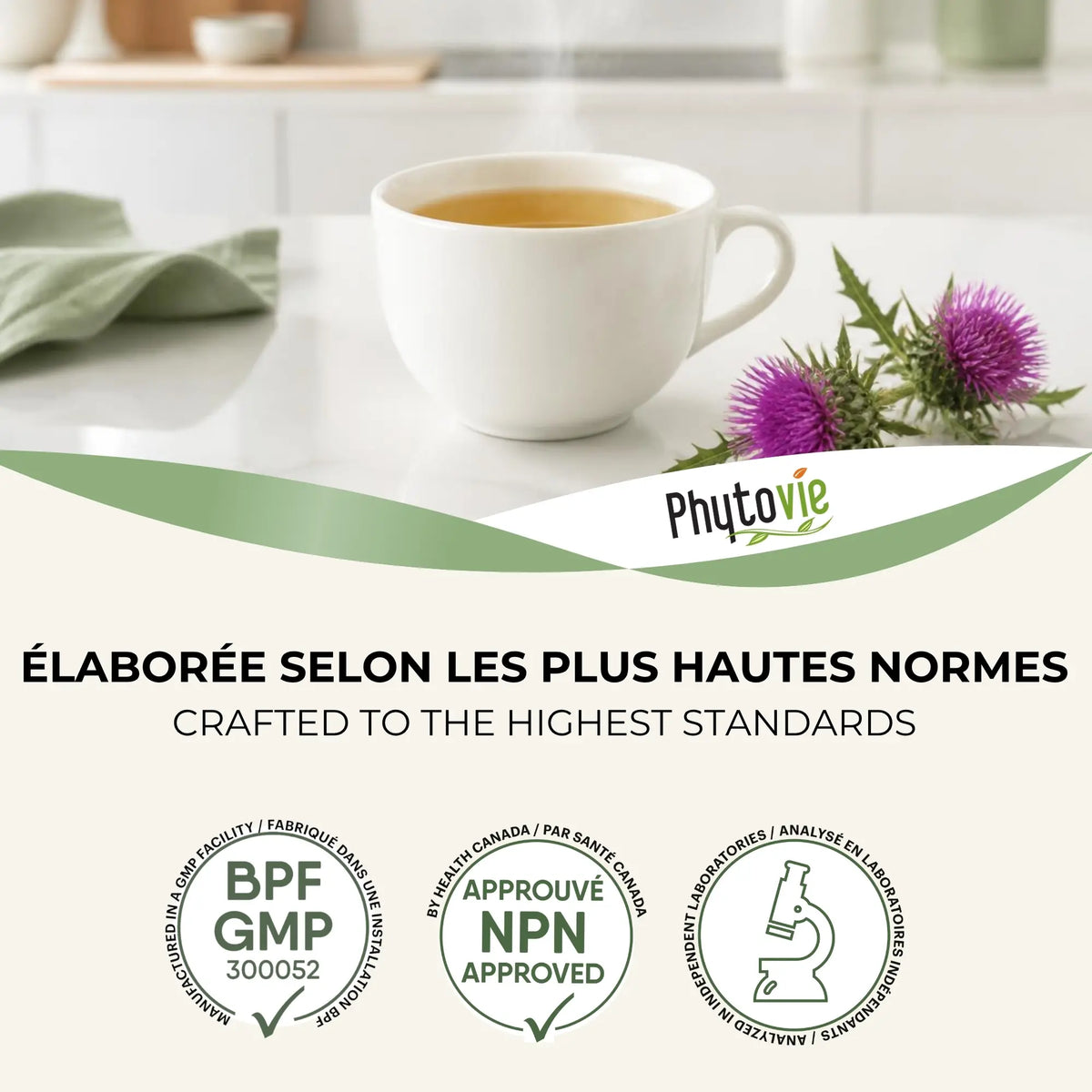 Tasse de tisane Chardon-Marie Phytovie avec fleurs de chardon et certifications NPN, BPF/GMP et laboratoire indépendant