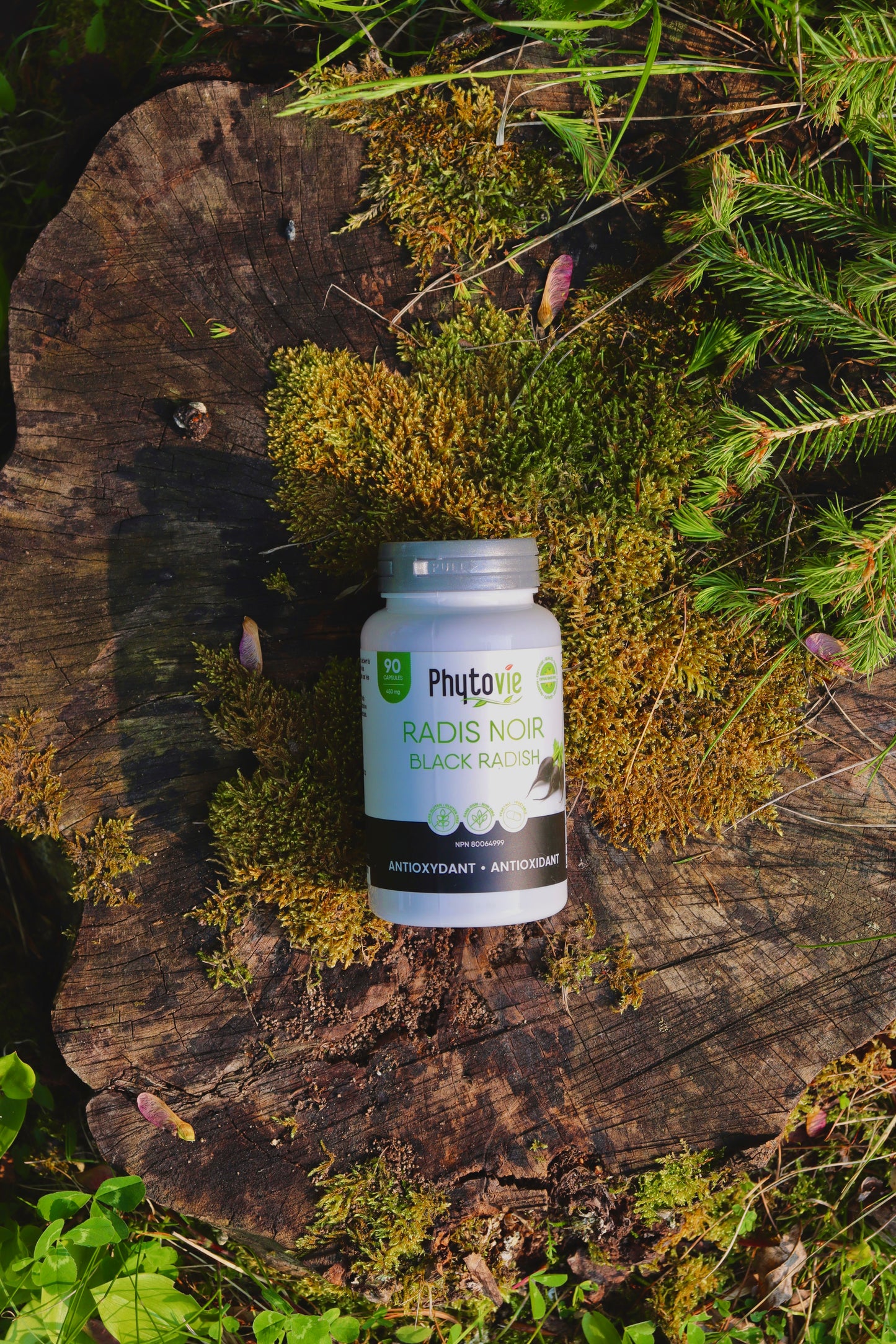 Radis Noir | Antioxydant | 90 capsules