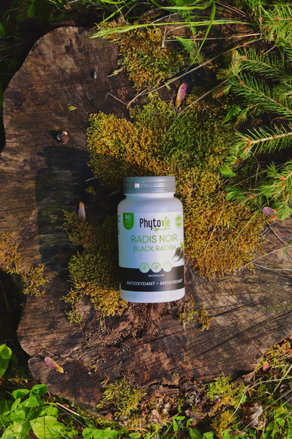 Radis Noir | Antioxydant | 90 capsules