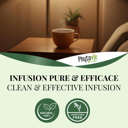 Infusion pure et efficace de la tisane Soir Détox Phytovie, naturelle, sans additifs, élaborée selon de hautes normes de qualité
