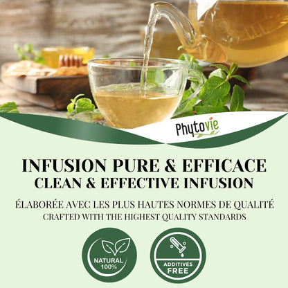 Infusion de menthe douce Phytovie servie dans une tasse en verre, feuilles de menthe fraîches et miel, mettant en avant une tisane naturelle, 100 % pure, sans additifs et élaborée selon les plus hautes normes de qualité.
