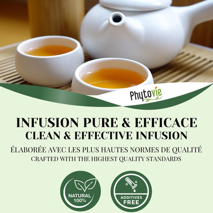Tasse de tisane Matin cuisse et jambe accompagnée de plantes naturelles, illustrant une infusion légère favorisant la sensation de jambes légères au quotidien