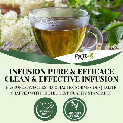 Tasse d’infusion de Reine-des-prés PhytoVie avec mention infusion pure et efficace, produit naturel sans additifs, normes de qualité élevées