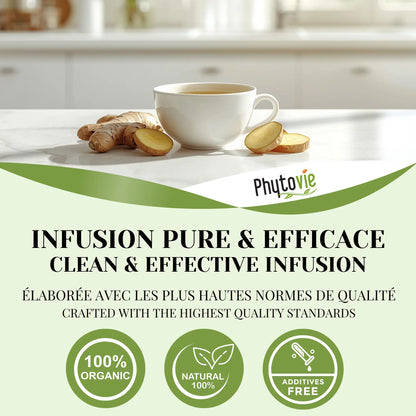 Infusion pure et efficace de tisane gingembre Phytovie, biologique, naturelle, sans additifs et de qualité supérieure