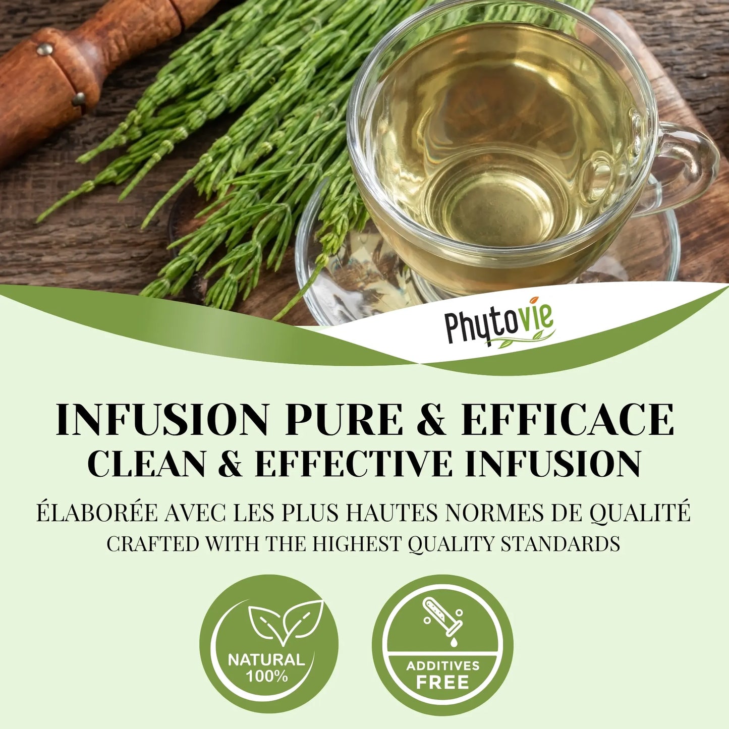 Infusion de prêle Phytovie servie dans une tasse en verre avec plante de prêle fraîche, mettant en valeur une tisane naturelle, sans additifs et élaborée selon les plus hautes normes de qualité.