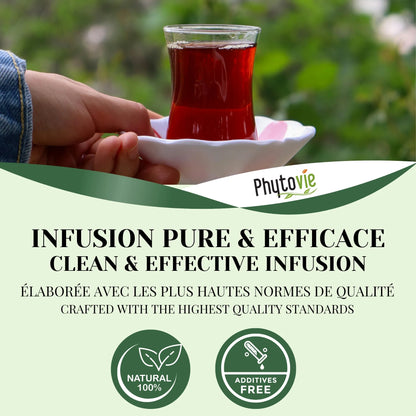 Tasse de tisane Malva et Séné accompagnée de plantes naturelles, illustrant une infusion végétale ciblée pour le confort digestif et la régularité
