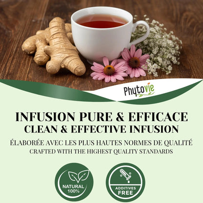Infusion de tisane rhume et grippe Phytovie à base de gingembre et échinacée, naturelle, pure et efficace

