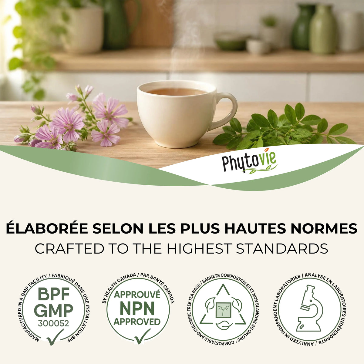 Tasse de tisane Malva+ Phytovie avec fleurs de mauve, certifications NPN et BPF/GMP