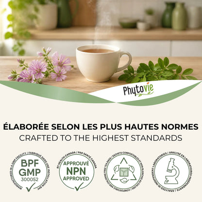Tasse de tisane Malva+ Phytovie avec fleurs de mauve, certifications NPN et BPF/GMP