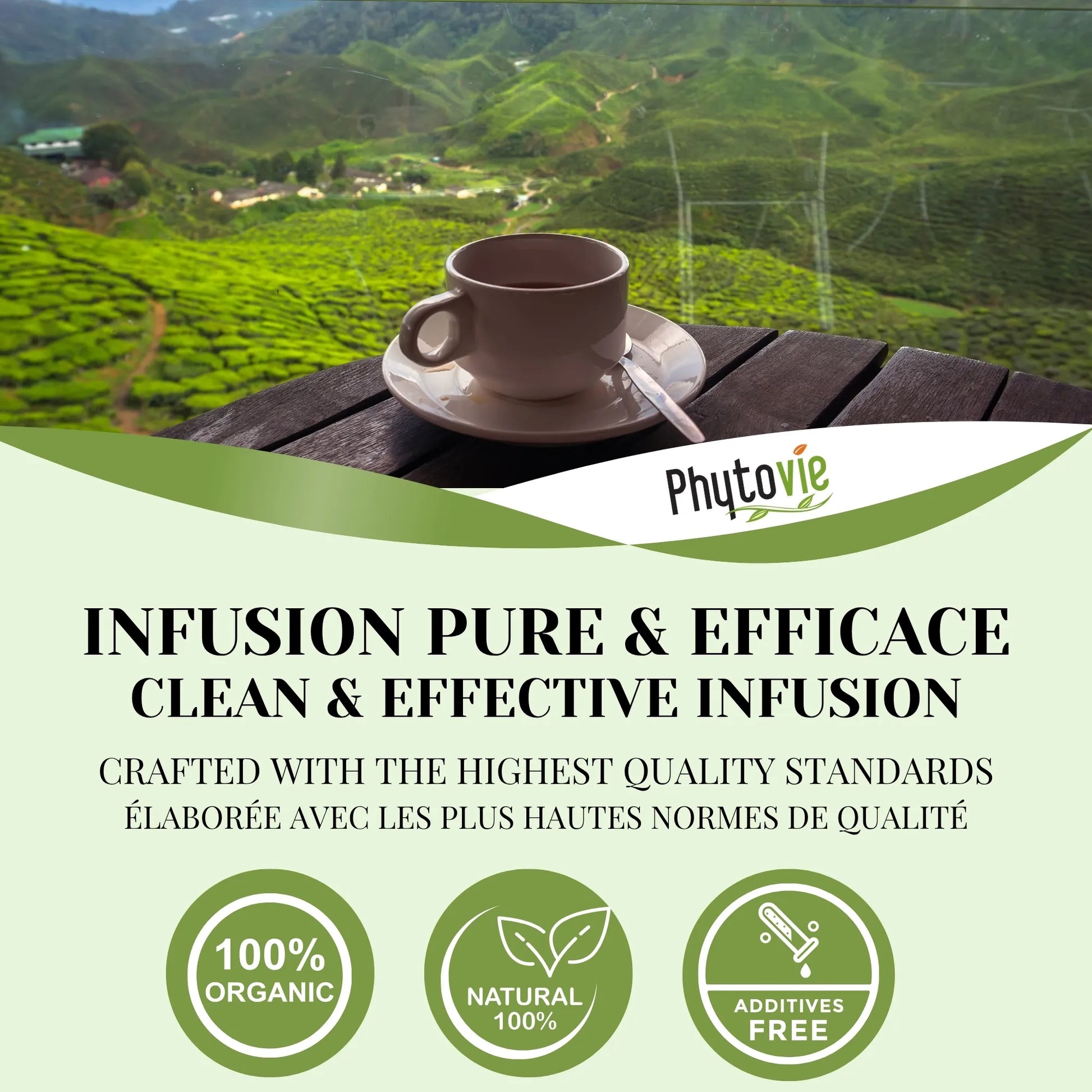 Tasse de tisane Méditation accompagnée de plantes naturelles, illustrant une infusion douce favorisant la détente, la pleine conscience et le repos