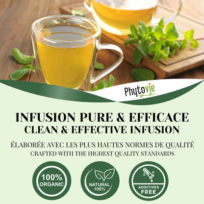 Tasse de tisane de mélisse accompagnée de feuilles naturelles, illustrant une infusion douce et citronnée propice au calme et à la relaxation
