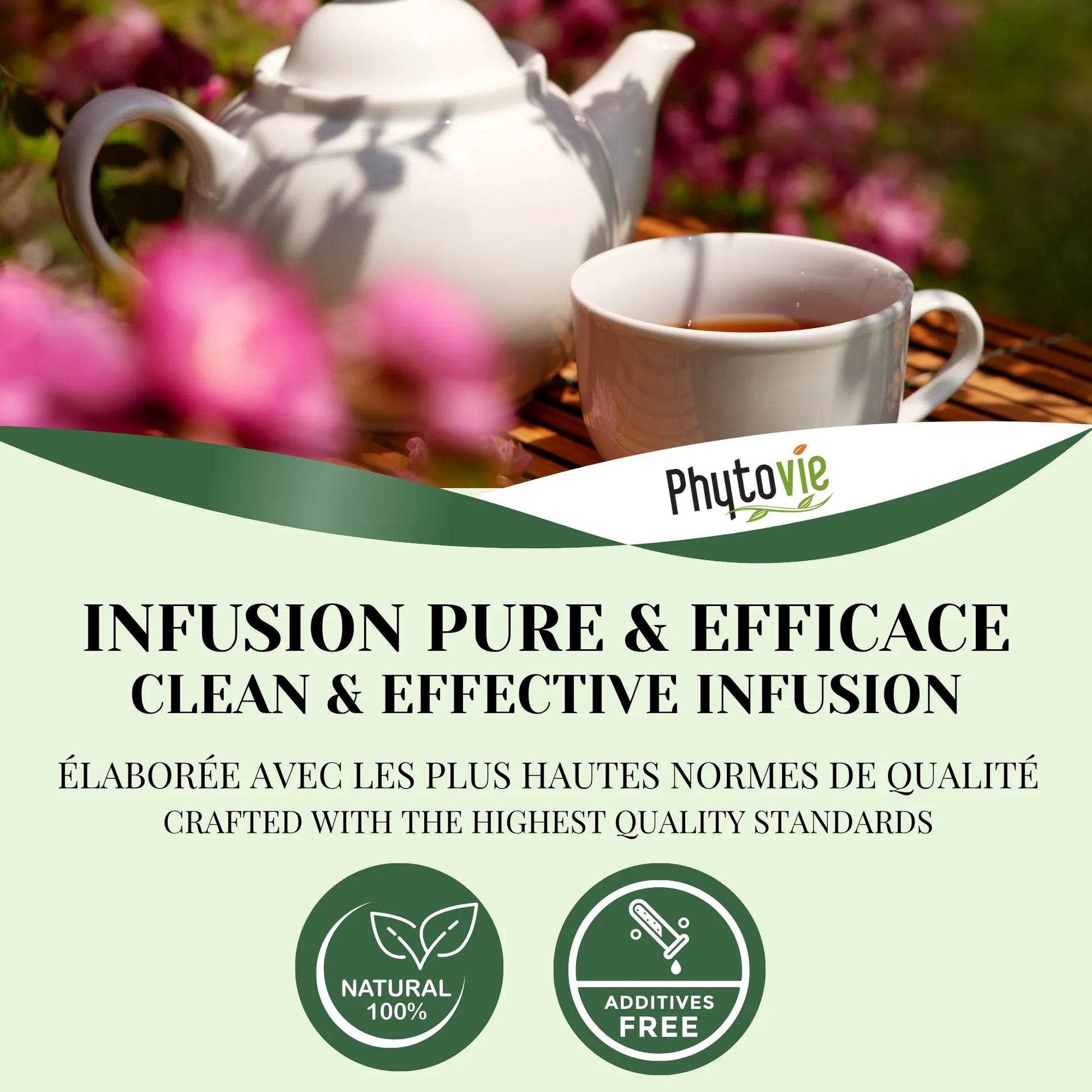 Tasse de tisane Ménopause accompagnée de plantes naturelles, illustrant une infusion douce et réconfortante favorisant le calme et l’harmonie
