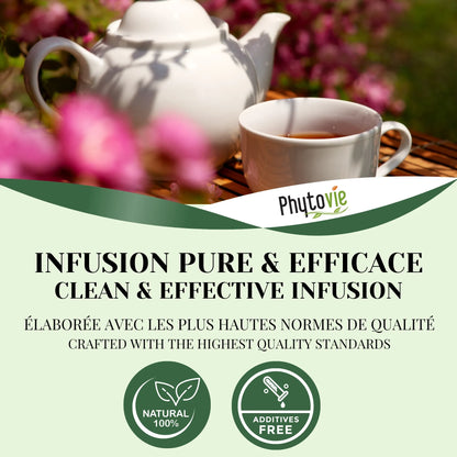 Tasse de tisane Ménopause accompagnée de plantes naturelles, illustrant une infusion douce et réconfortante favorisant le calme et l’harmonie