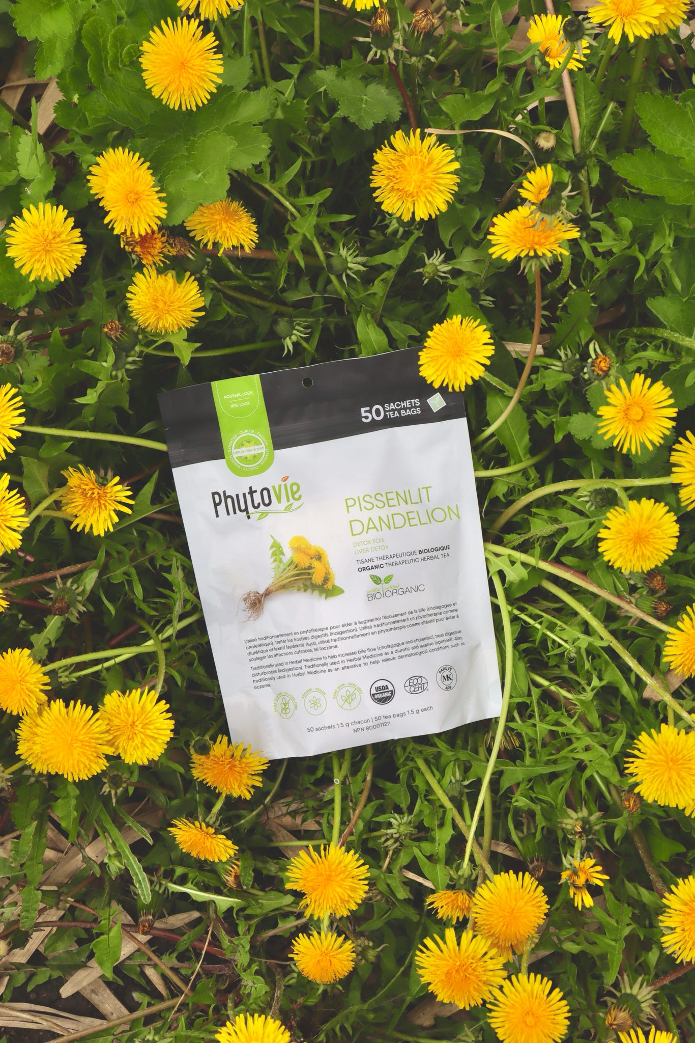 Image de la tisane de pissenlits sur fond naturel avec pissenlits derrière