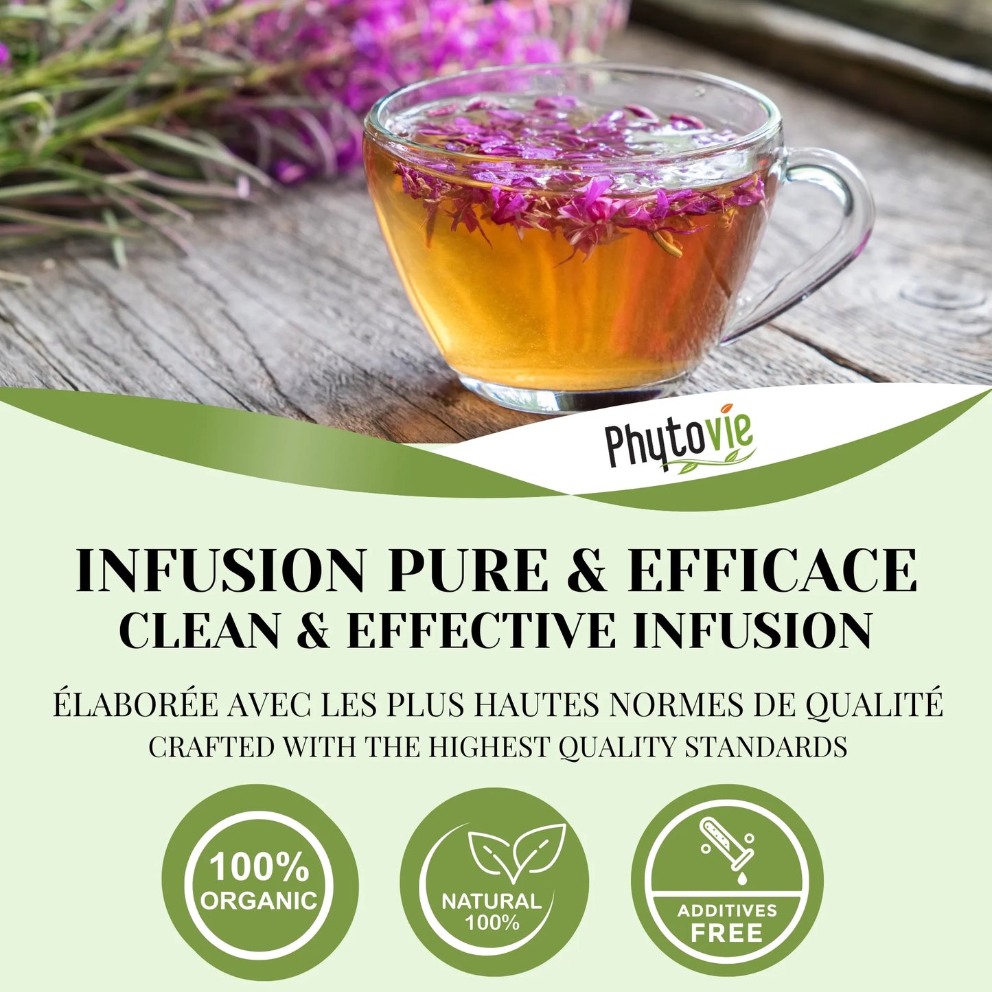 Tasse de tisane d’épilobe accompagnée de plantes naturelles, illustrant une infusion douce, sereine et équilibrante pour le bien-être quotidien