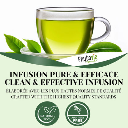 Tasse de thé vert Sencha avec feuilles naturelles illustrant une infusion pure, fraîche et revitalisante, sans additifs et de qualité supérieure